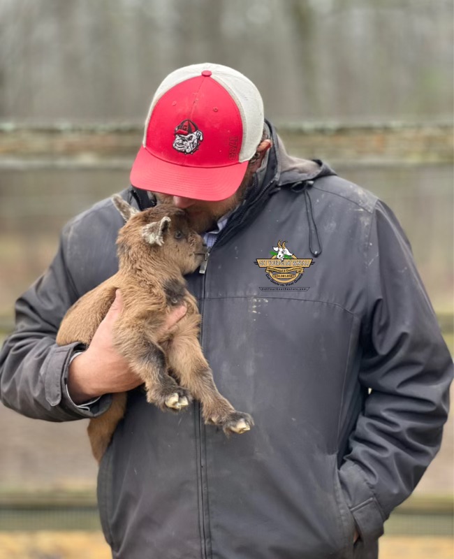 Person holding and kissing a baby goat on the head