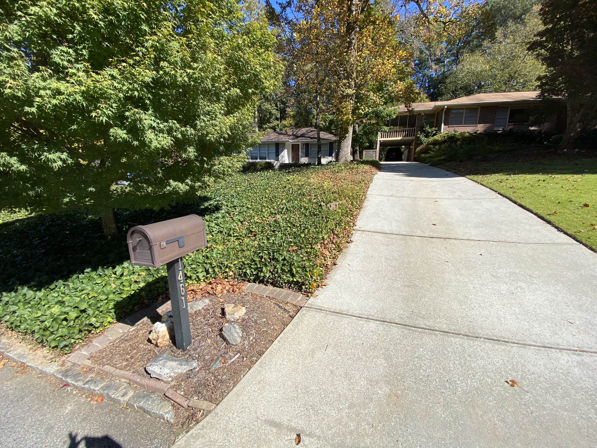 Eco-friendly goat clearing