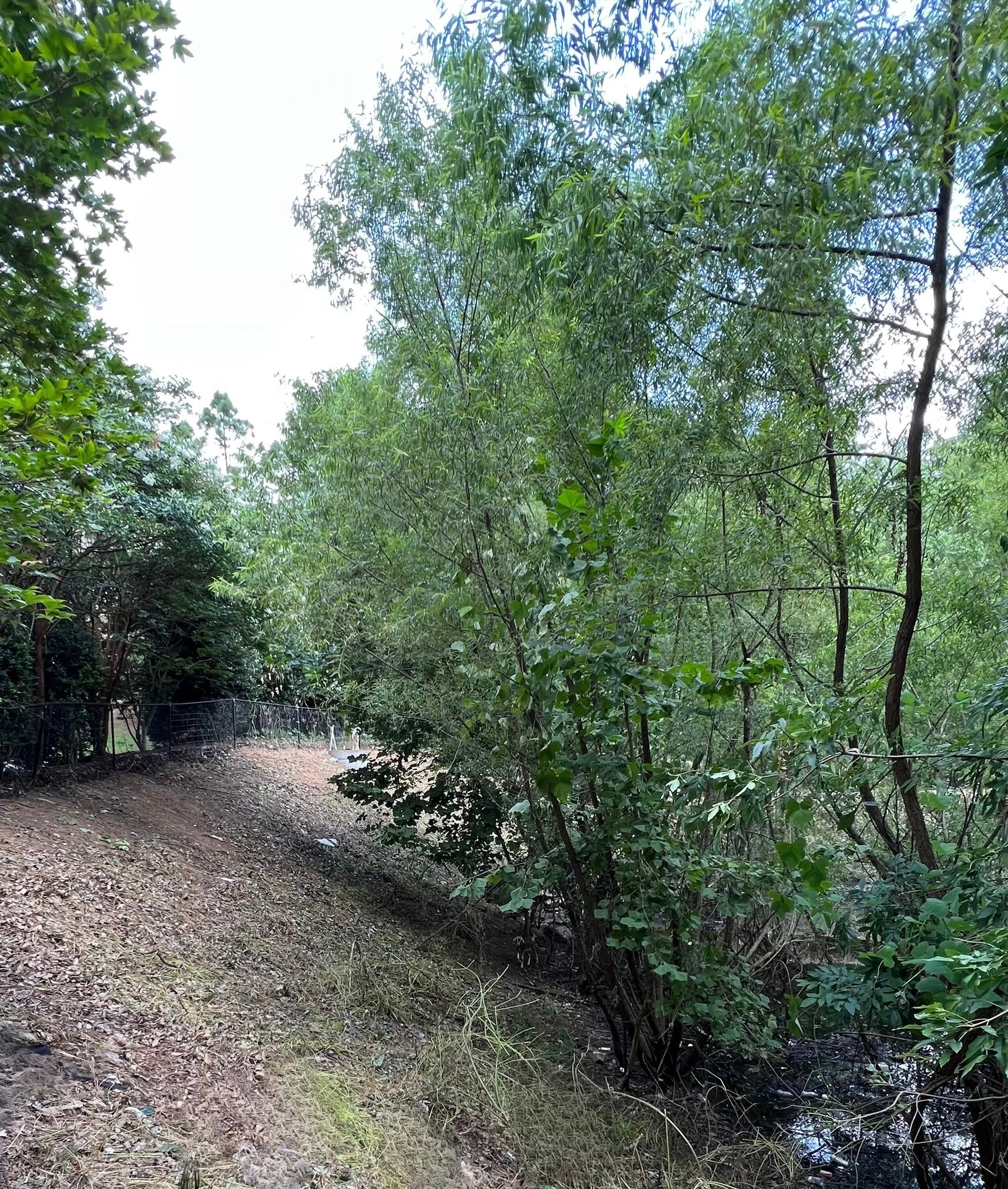 Remote assessment using photos and videos